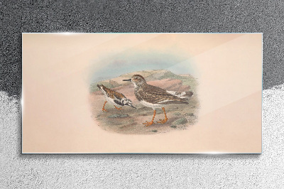Birds in a desert landscape Glass art print