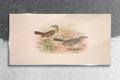 Animals birds beige Glass Wall Art