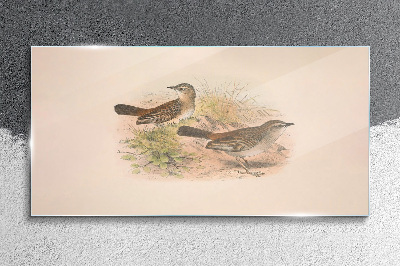 Birds in a natural background Glass art print