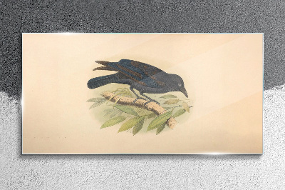 Black bird on a branch Glass art print