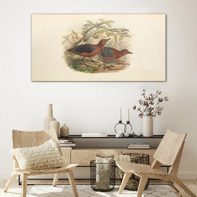 Birds animals Glass Wall Art