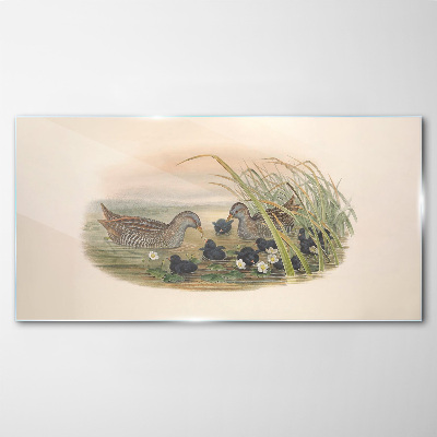 Birds animals figure Glass Wall Art