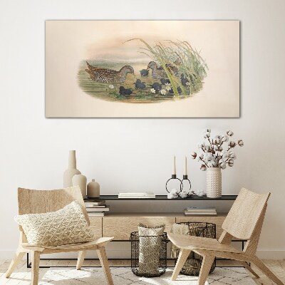 Duck families in a water environment Glass art print
