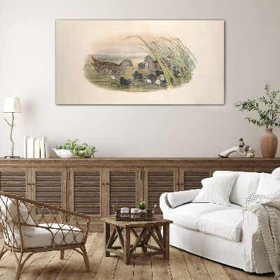 Duck families in a water environment Glass art print
