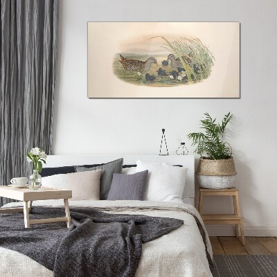 Duck families in a water environment Glass art print