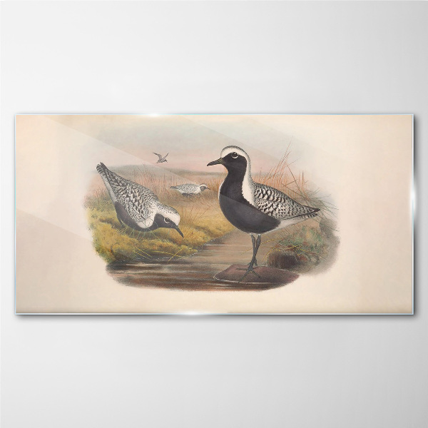 Birds animals Glass Wall Art