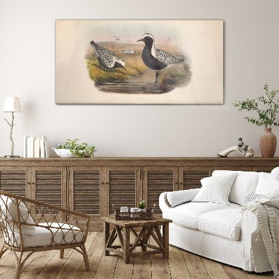 Birds animals Glass Wall Art