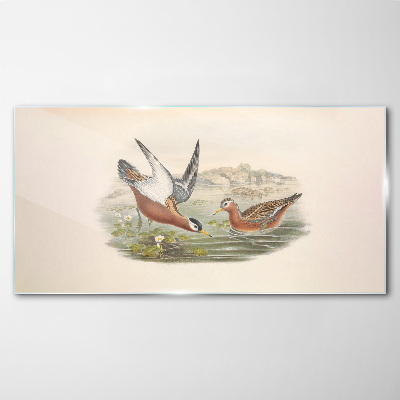 Birds over the water Glass art print