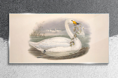 Swan with a branch Wall art on glass