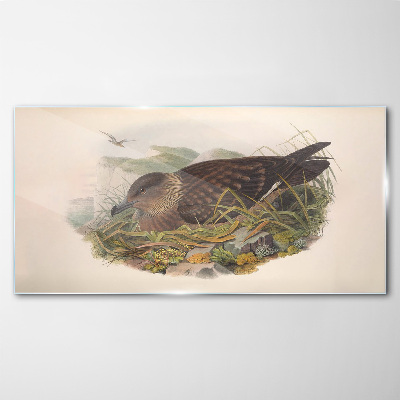 Animals birds beige Glass Wall Art