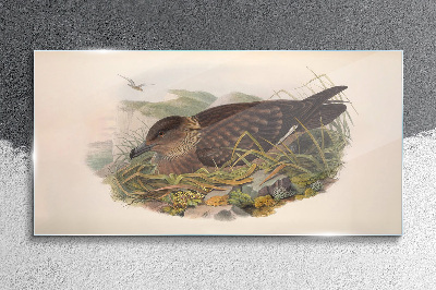 A bird's nest in its natural surroundings Wall art on glass