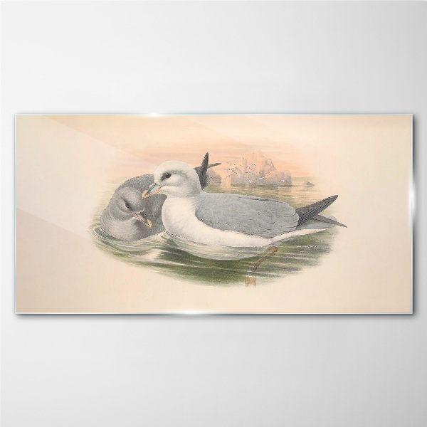 Seabirds in the calm water Glass art print