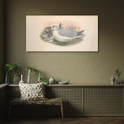 Seabirds in the calm water Glass art print