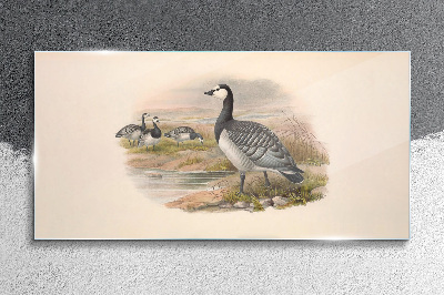 Goose family by the water Glass art print