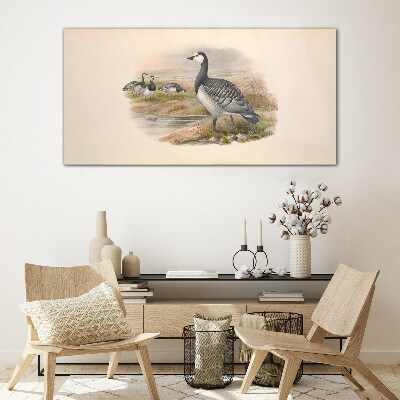 Animals birds beige Glass Wall Art