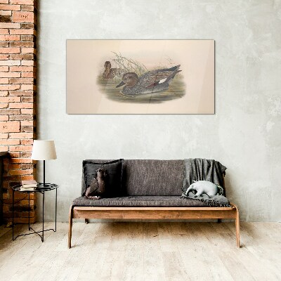 Ducks calm in their natural surroundings Wall art on glass