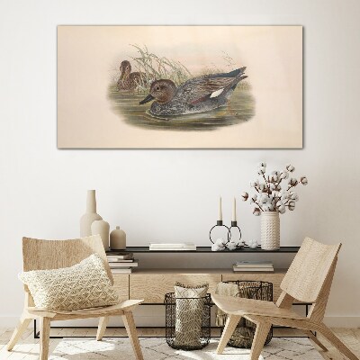 Ducks calm in their natural surroundings Wall art on glass