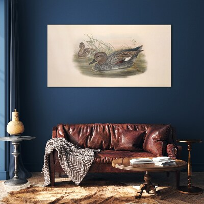 Ducks calm in their natural surroundings Wall art on glass