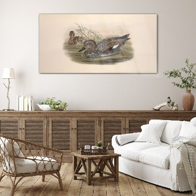 Ducks calm in their natural surroundings Wall art on glass