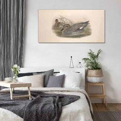 Ducks calm in their natural surroundings Wall art on glass