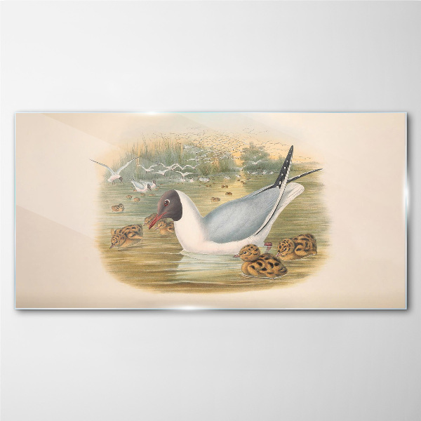 Seagull with young in the water Glass art print
