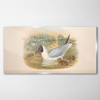 Seagull with young in the water Glass art print