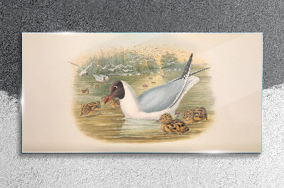 Seagull with young in the water Glass art print