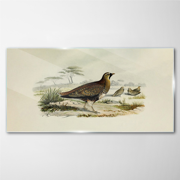 Birds Wild Animals Glass art print