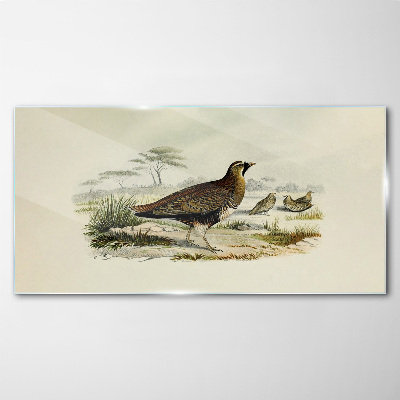 Birds Wild Animals Glass art print