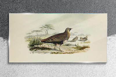 Birds Wild Animals Glass art print