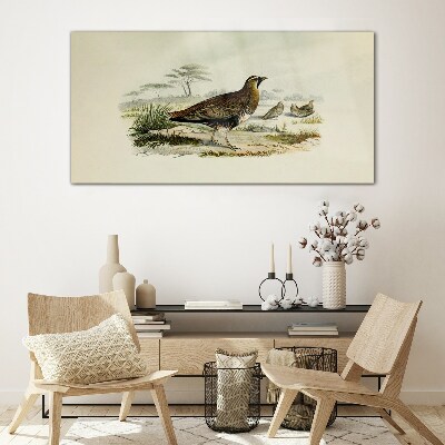 Birds Wild Animals Glass art print