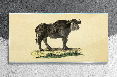 Buffalo on a natural background Wall art on glass