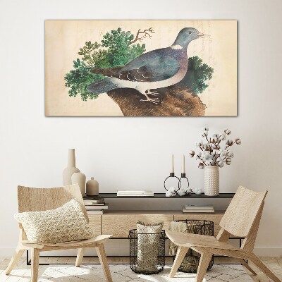 A dove against a green background Glass art print