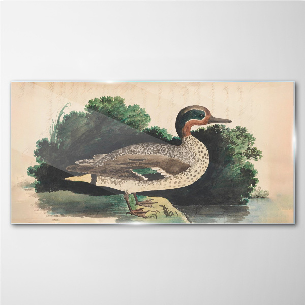 A duck surrounded by greenery Glass art print
