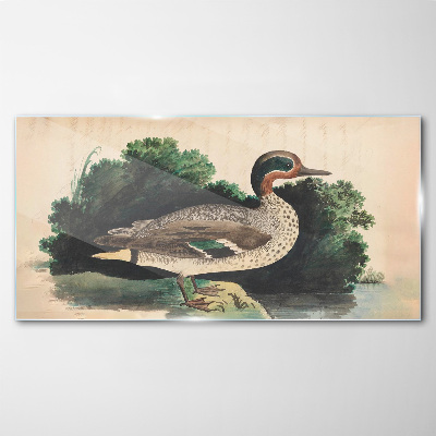 A duck surrounded by greenery Glass art print