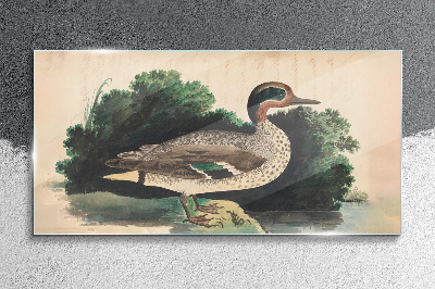 A duck surrounded by greenery Glass art print