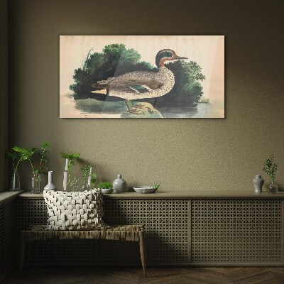 A duck surrounded by greenery Glass art print