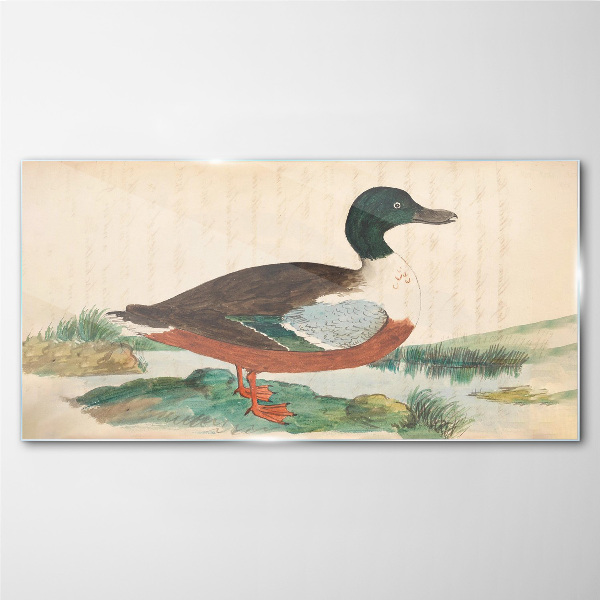 Duck against the green background Wall art on glass