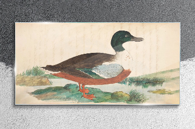 Duck against the green background Wall art on glass
