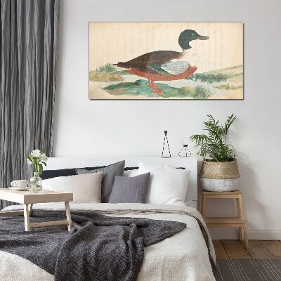Duck against the green background Wall art on glass