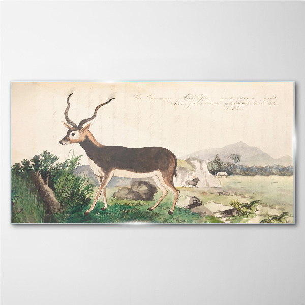 Antelope in the background of the landscape Glass art print