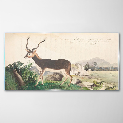 Antelope in the background of the landscape Glass art print