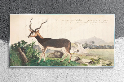 Antelope in the background of the landscape Glass art print