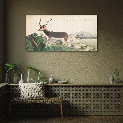 Gazelle drawing animals Glass Wall Art