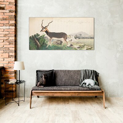 Antelope in the background of the landscape Glass art print