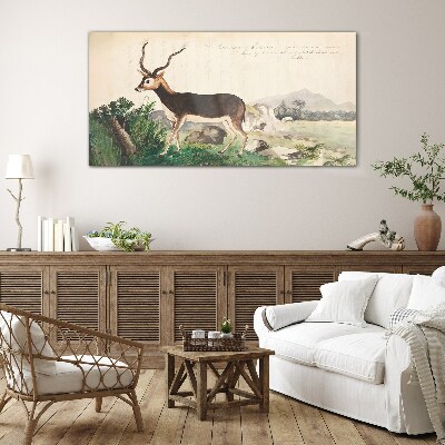 Antelope in the background of the landscape Glass art print