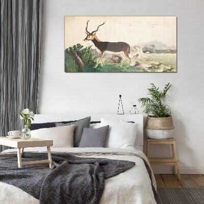Antelope in the background of the landscape Glass art print