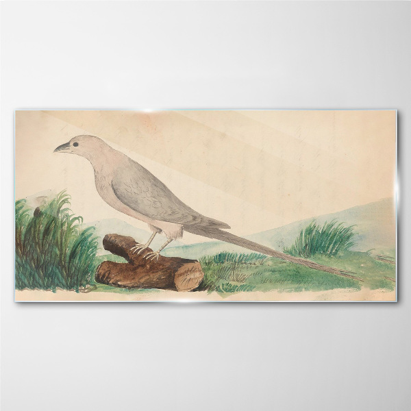 Birds animals Glass Wall Art