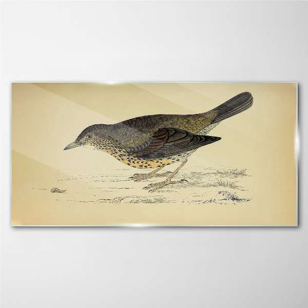 Bird on a beige background Glass art print