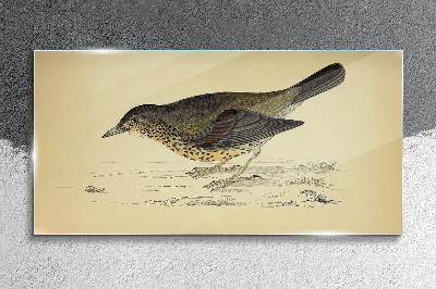 Bird on a beige background Glass art print